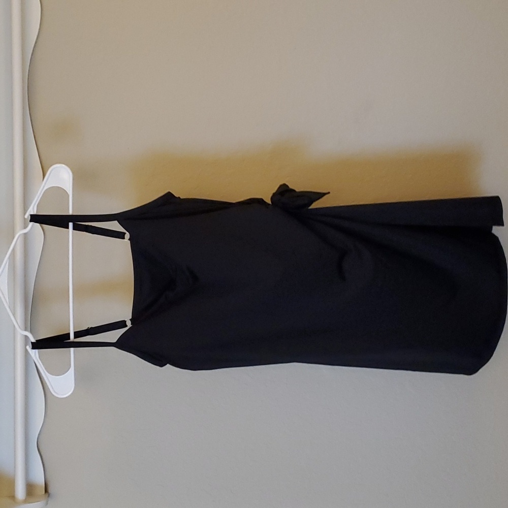 d's End Swim Dress